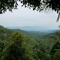 Photo de Bali - Autour de Munduk